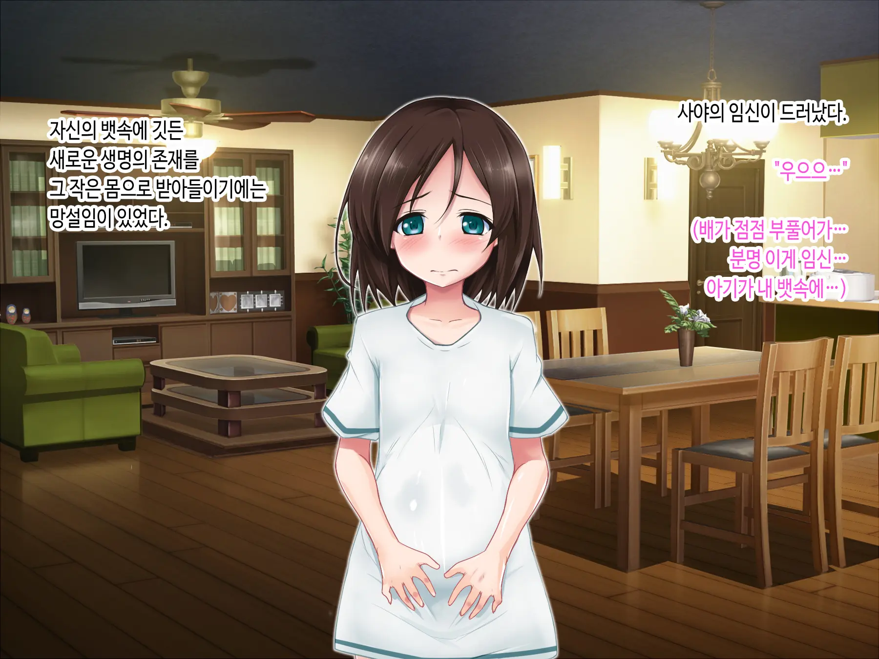 Aigan Loli Wa Mama Ni Natte | 애완 로리는 엄마가 되어